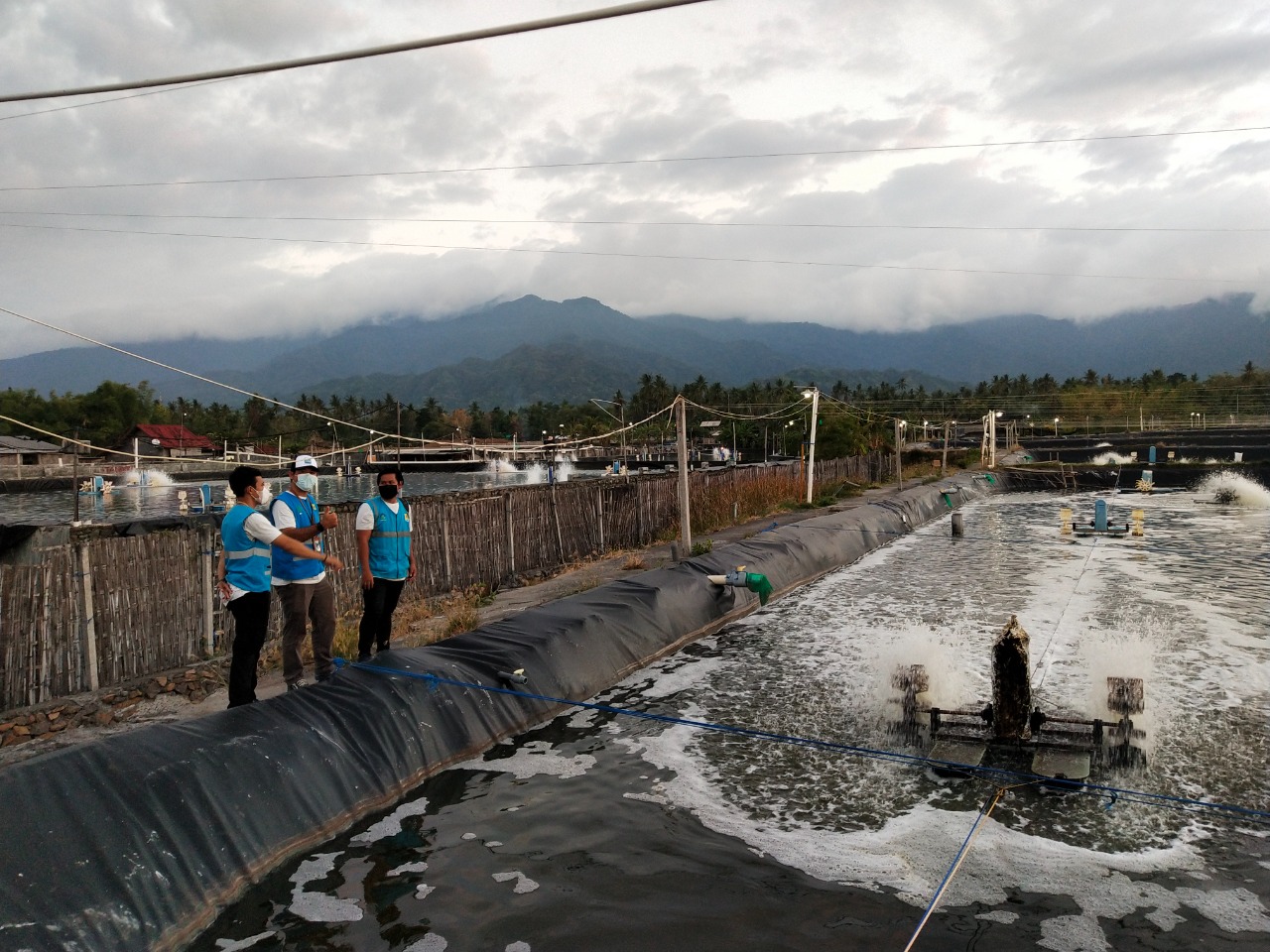 Manfaatkan Electrifying Agriculture, Pemilik Tambak Udang di Karangasem